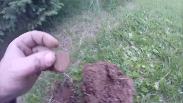 My First 50 Cent Piece and A Crusty Whatsit? смотреть онлайн