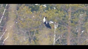 "Тень охотника"