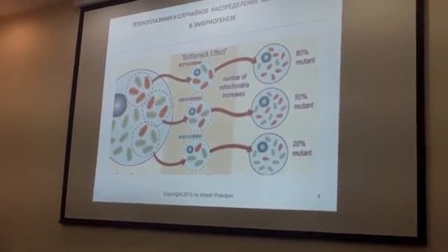 Гипоксическая тренировка у пожилых людей смотреть онлайн
