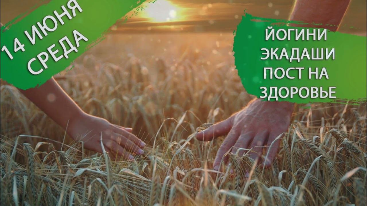 14 июня. Среда. Йогини экадаши - пост для здоровья и исцеления смотреть онлайн