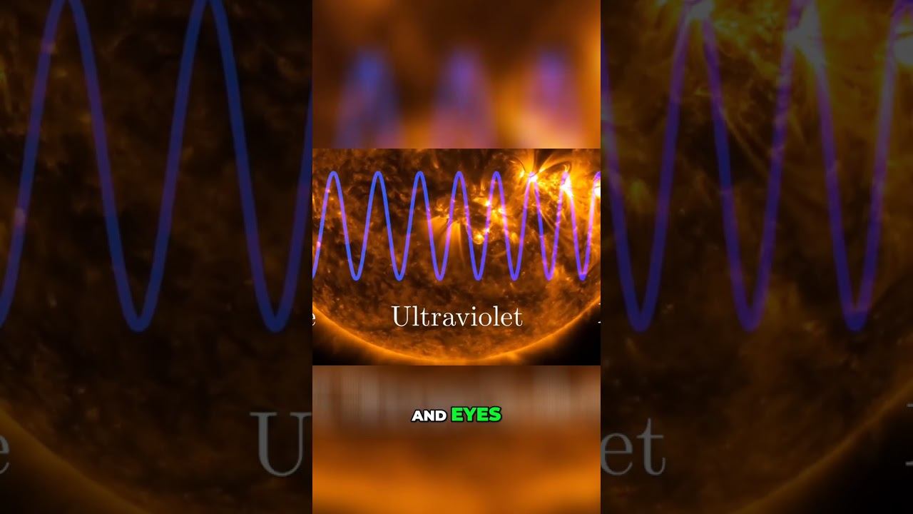 Unlocking the Secrets of the Electromagnetic Spectrum: Exploring Invisible Waves смотреть онлайн