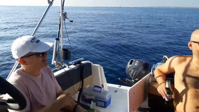 Яркий день в кругу друзей и семьи смотреть онлайн