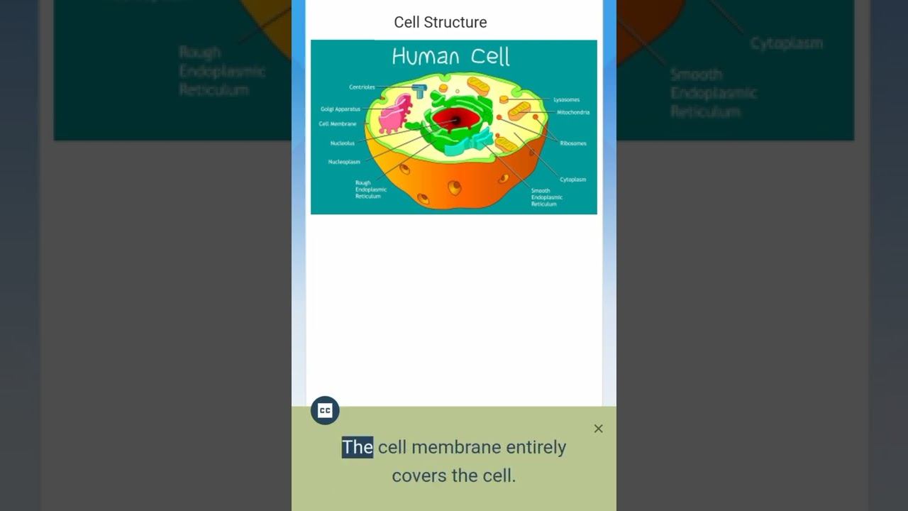 HUMAN BODY||CELL STRUCTURE смотреть онлайн