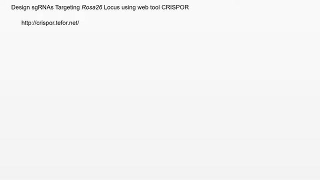 CRISPR/Cas9 Used For Gene-Knock In And Cell Sorting | Protocol Preview