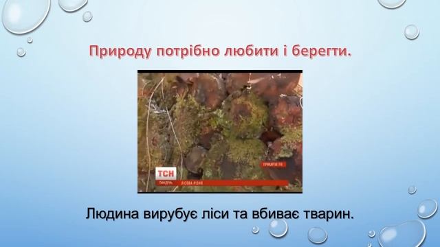 Добра справа для природи смотреть онлайн