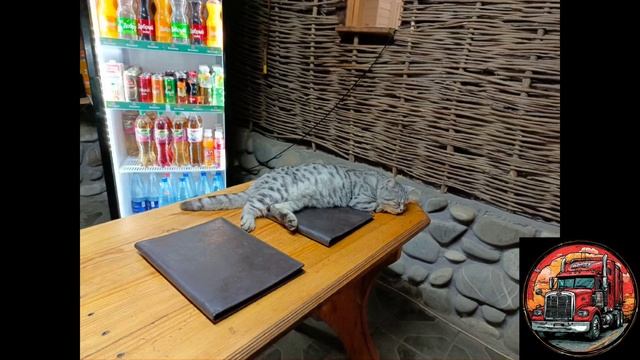 Официант Счёт!)