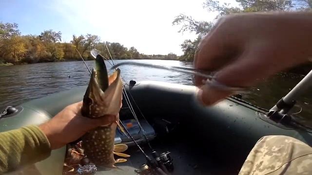 ЩУКА ОСЕНЬЮ ПСЕЛ 2019 смотреть онлайн