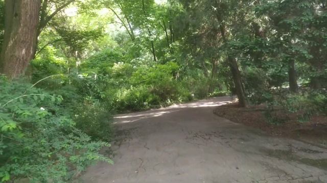 Ботанический сад в Черновцах. 1 часть смотреть онлайн