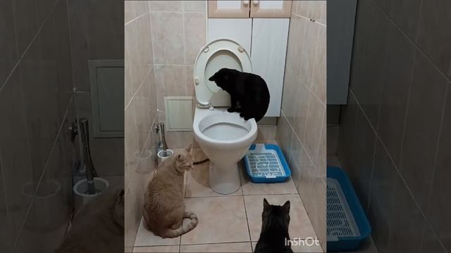 #рыбалка 😺😊.mp4