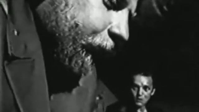 Братишку довели(слоновые страсти) смотреть онлайн