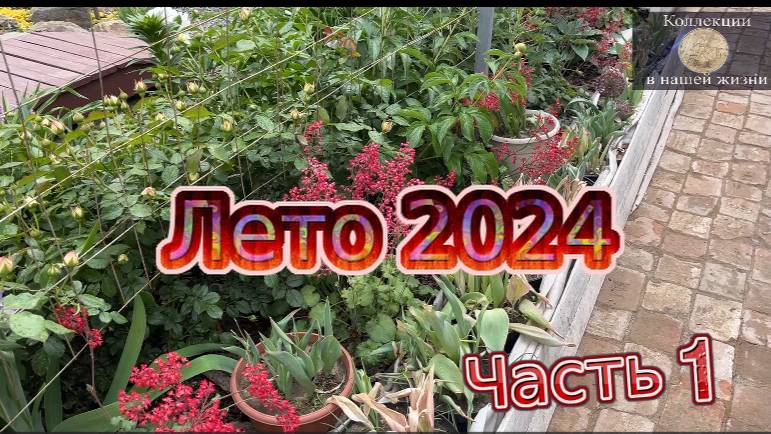 Лето на даче 2024 (1) смотреть онлайн