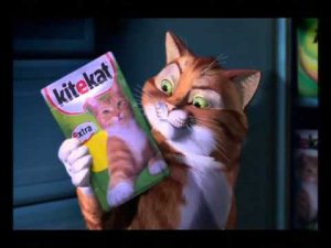 Kitekat 30 TV   'Pouch' SD