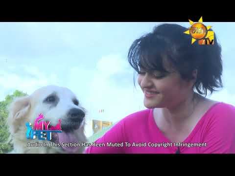 Hiru TV Morning Show - MY PET | EP 05 | 2019-07-12 смотреть онлайн