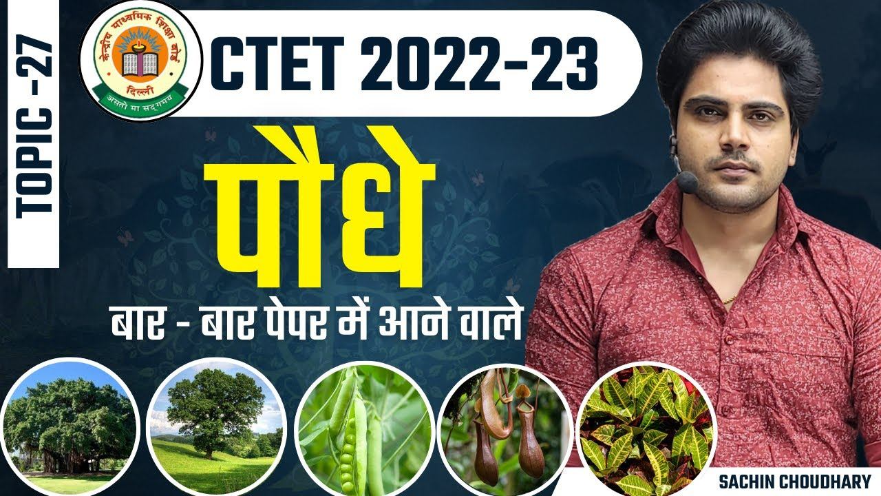 CTET December EVS NCERT Plants by Sachin choudhary live 8pm смотреть онлайн
