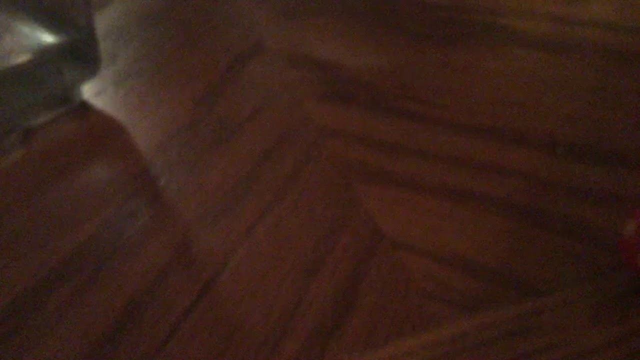 Don’t do shrooms! смотреть онлайн