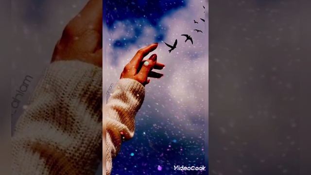 слезы не мои смотреть онлайн