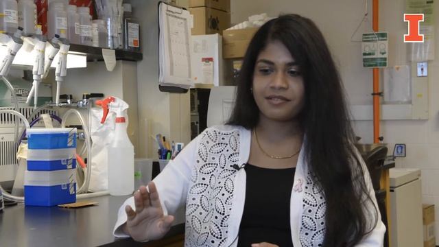 Meet MCB: UIUC PhD student Hashni, Molecular & Integrative Physiology смотреть онлайн