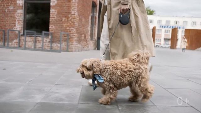 Ты не сдал ЕГЭ Что делать и куда бежать смотреть онлайн