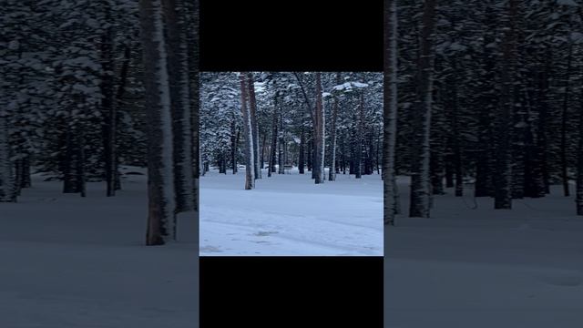 26-11-2024 смотреть онлайн