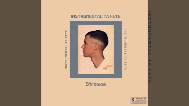Stromae - Ta Fête Instrumental ( Backing Vocals ) смотреть онлайн