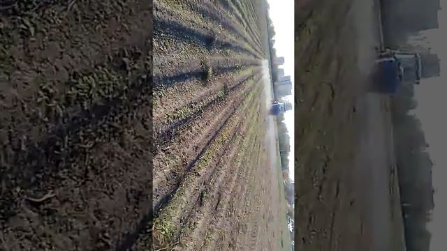 Обработка поля гербицидом смотреть онлайн