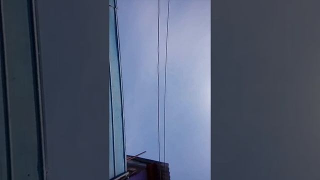 AUREOLAS EN EL SOL смотреть онлайн