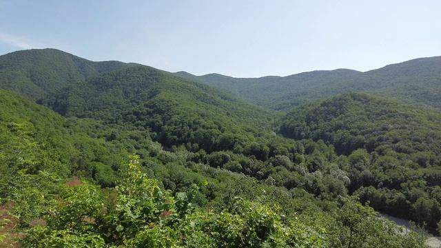 Небуг, прогулка по горе вдоль ЛЭП. Очень красивые и зелёные виды!