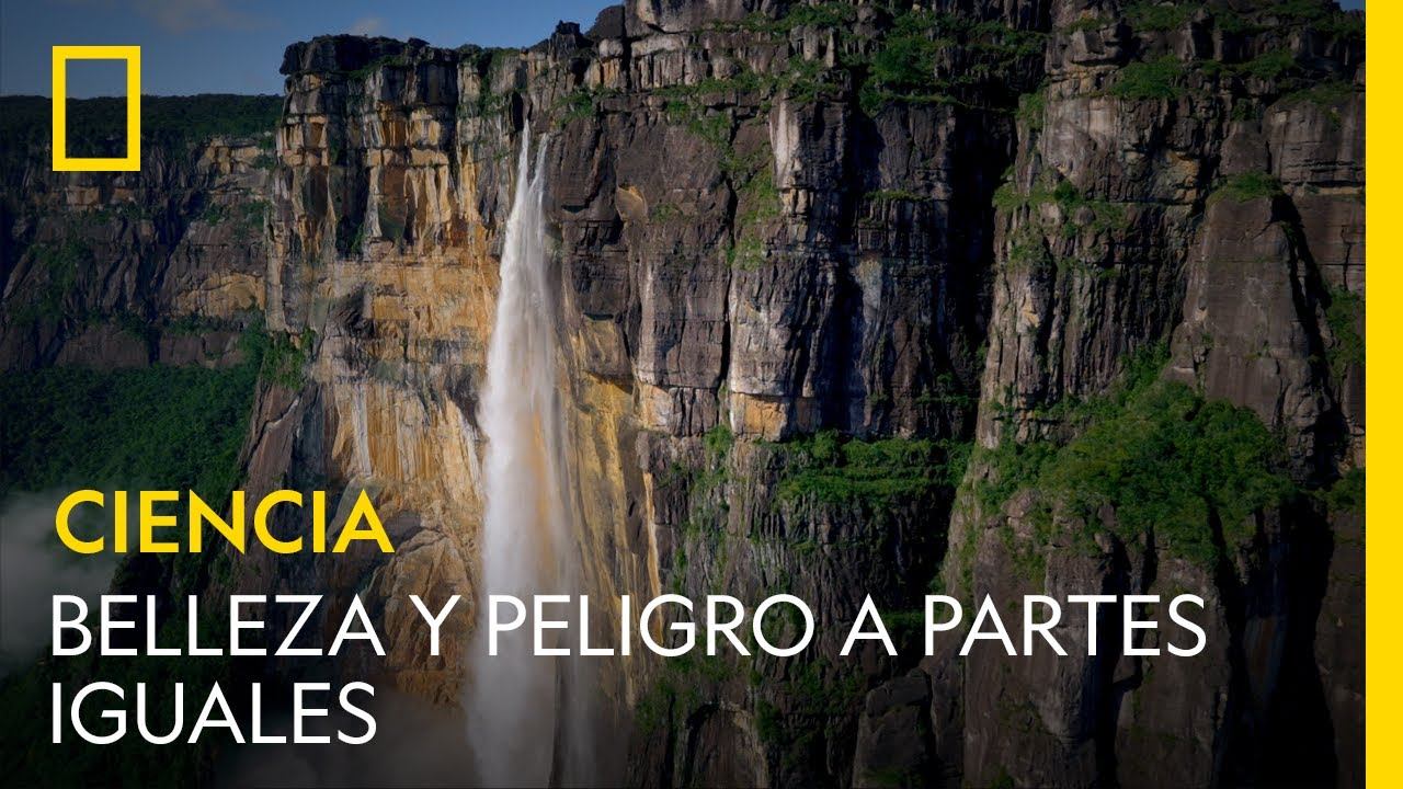 Belleza y peligro a partes iguales | NATIONAL GEOGRAPHIC ESPAÑA смотреть онлайн