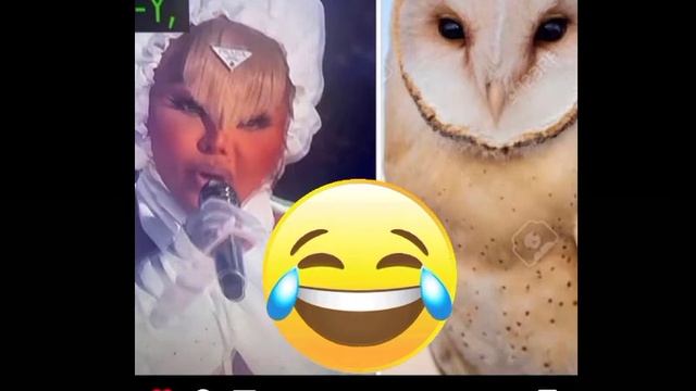 50 Cent and Lil Kim Beef смотреть онлайн