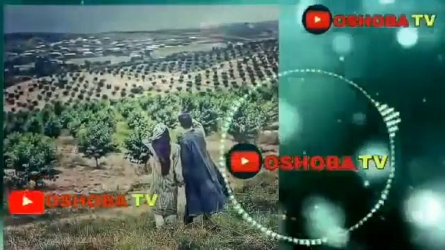 УЗБЕКЧА ТЕРМА КУШИКЛАР 🔥🔥 UZBEKCHA TERMA QO'SHIQLAR - UZBEK RETRO MUSIC смотреть онлайн