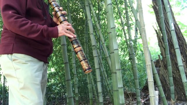 “Bamboo Serenade” смотреть онлайн