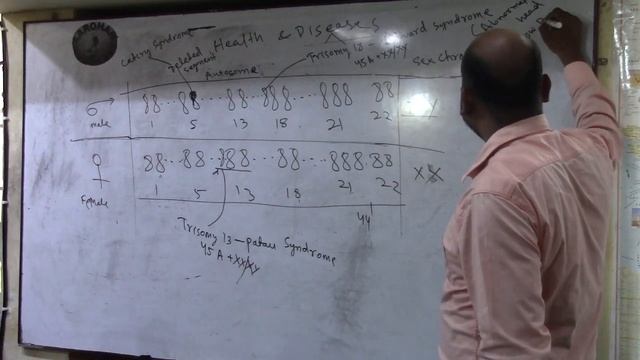 17.12.19 OAS GS BIOLOGY смотреть онлайн
