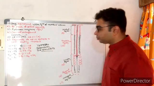 Spinal Cord | Part 1 | Features | Neurophysiology | Vertebrosegmental Dissimilarity | Basics смотреть онлайн