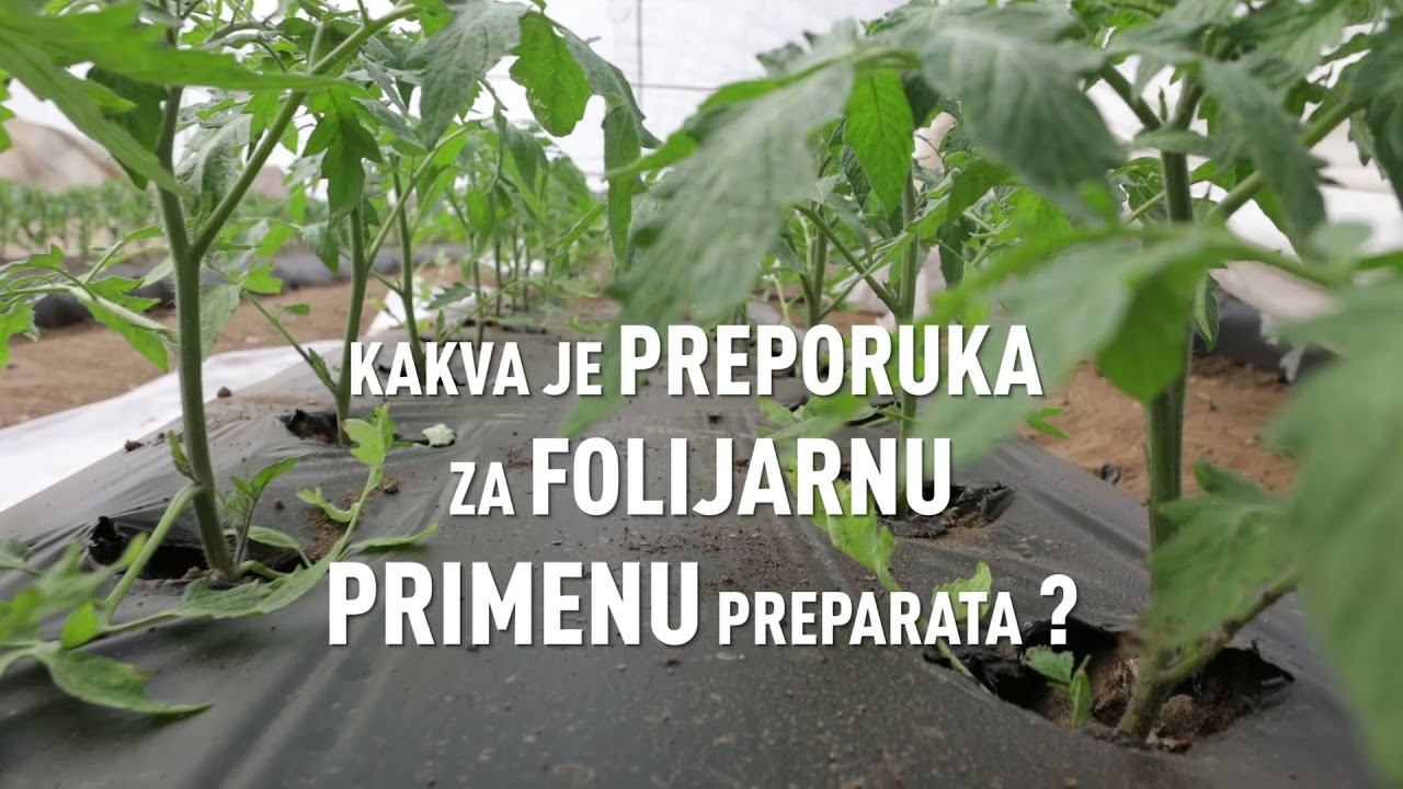 Zaštita povrća od najznačajnijih štetočina смотреть онлайн