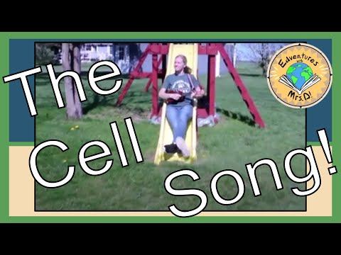 The Cell Song: A Song That Teaches Students About Cells For Middle School and High School смотреть онлайн