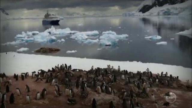 Henry Rollins "Depressed" about Antarctica and Climate Change! смотреть онлайн