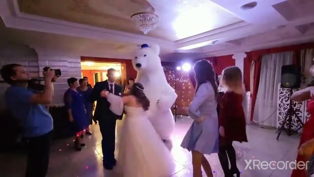 мишка Локи, на свадьбе🤩 смотреть онлайн