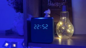 Занимательные истории