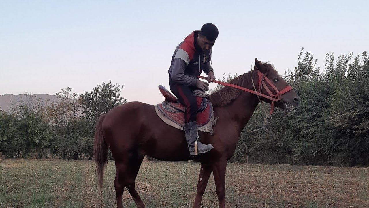 @GAROVTI TV(3) смотреть онлайн