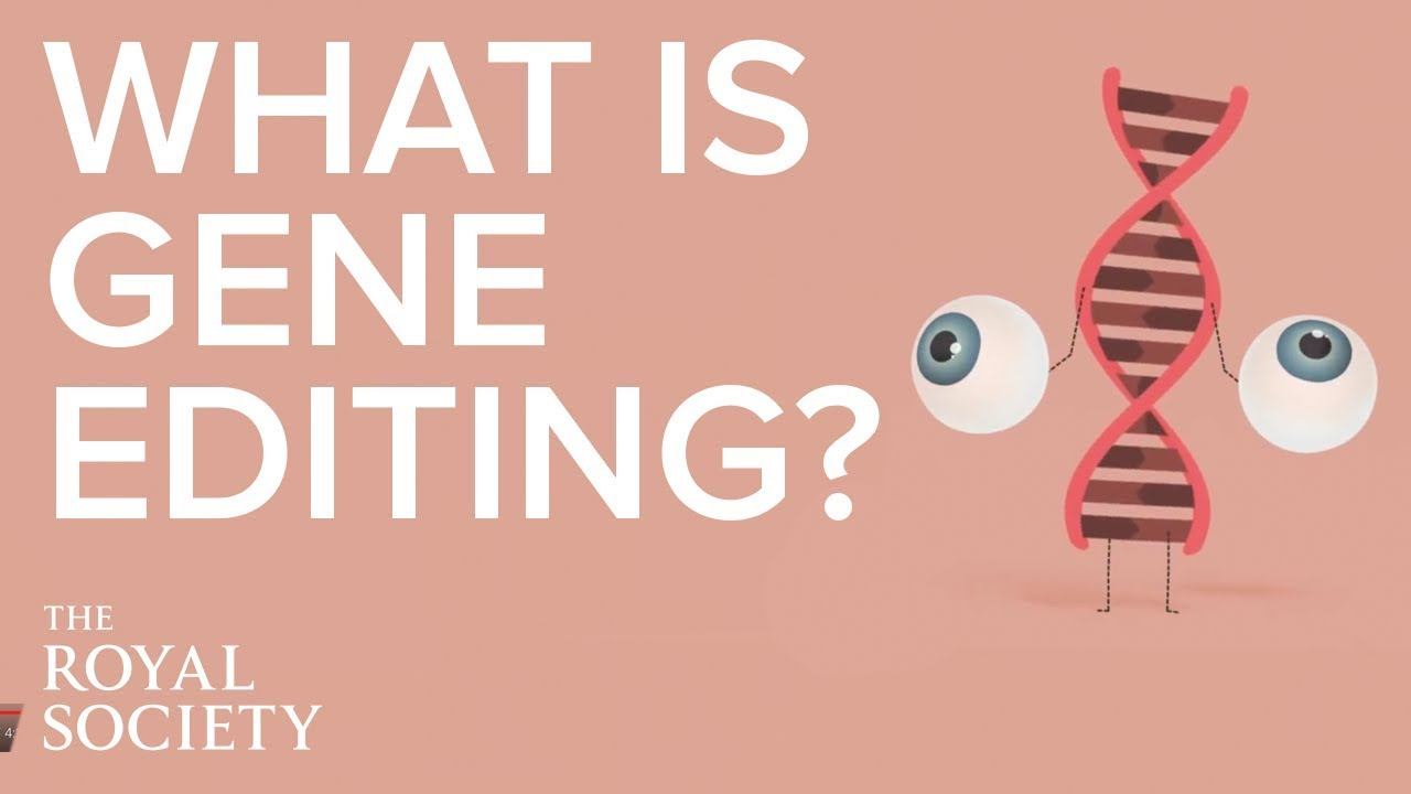 What is gene editing and how does it work? | The Royal Society смотреть онлайн
