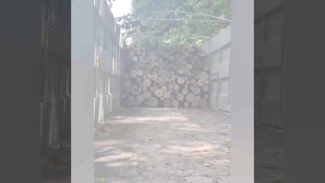 Купить дрова с доставкой по Одессе и области смотреть онлайн