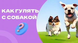 Продуктивная прогулка с собакой, как улучшить внимание и концентрацию, полезные упражнения с собакой