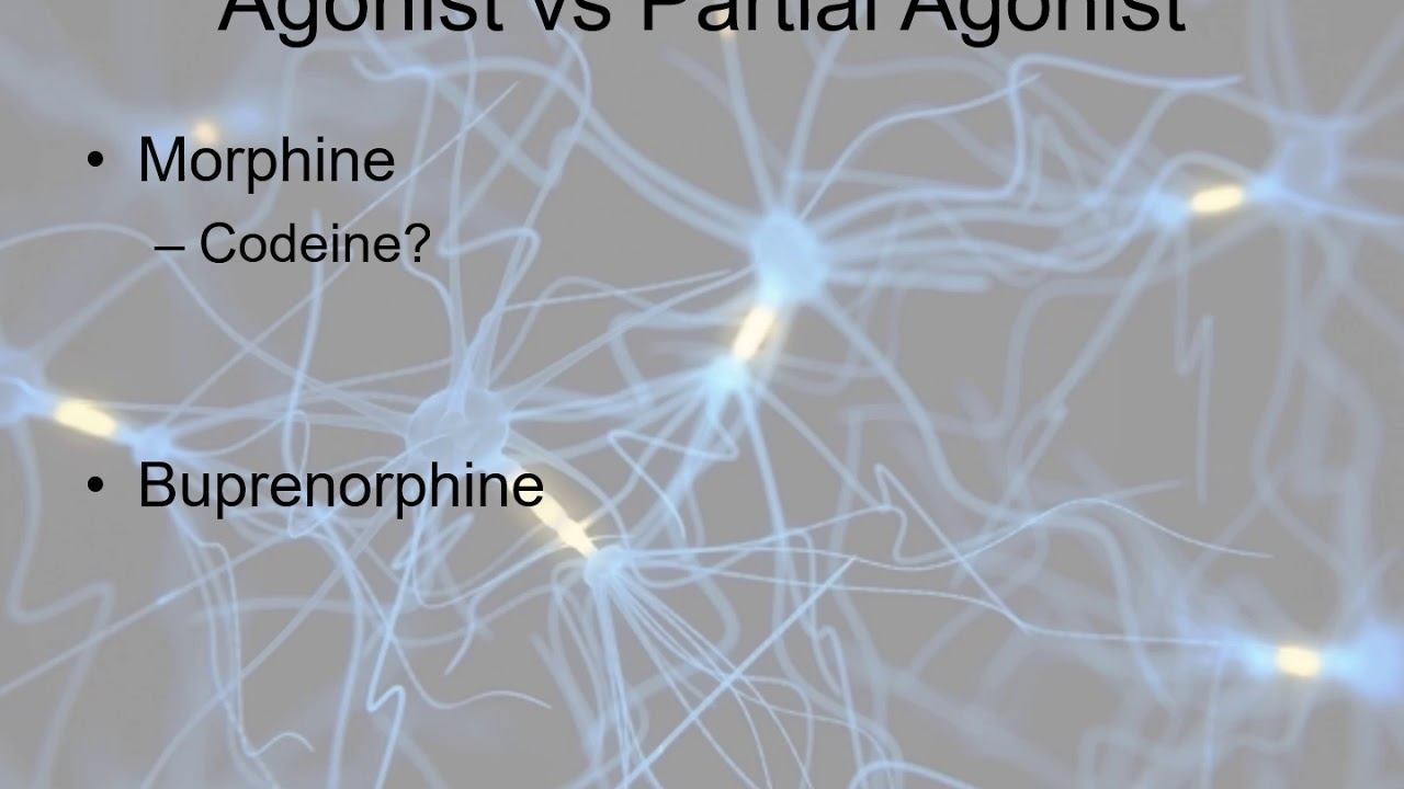 J N302&502 Pain Anxiety and Depression смотреть онлайн