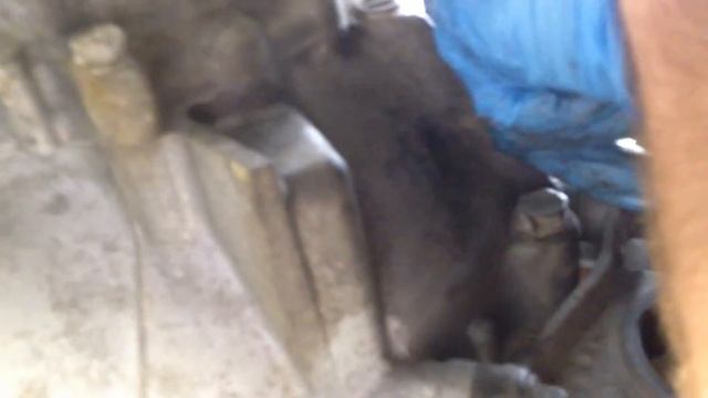 2005 Honda Civic creaking clutch fix смотреть онлайн