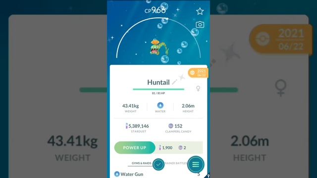 Evolving Clamperl to Huntail and Gorebyss in Pokemon Go смотреть онлайн