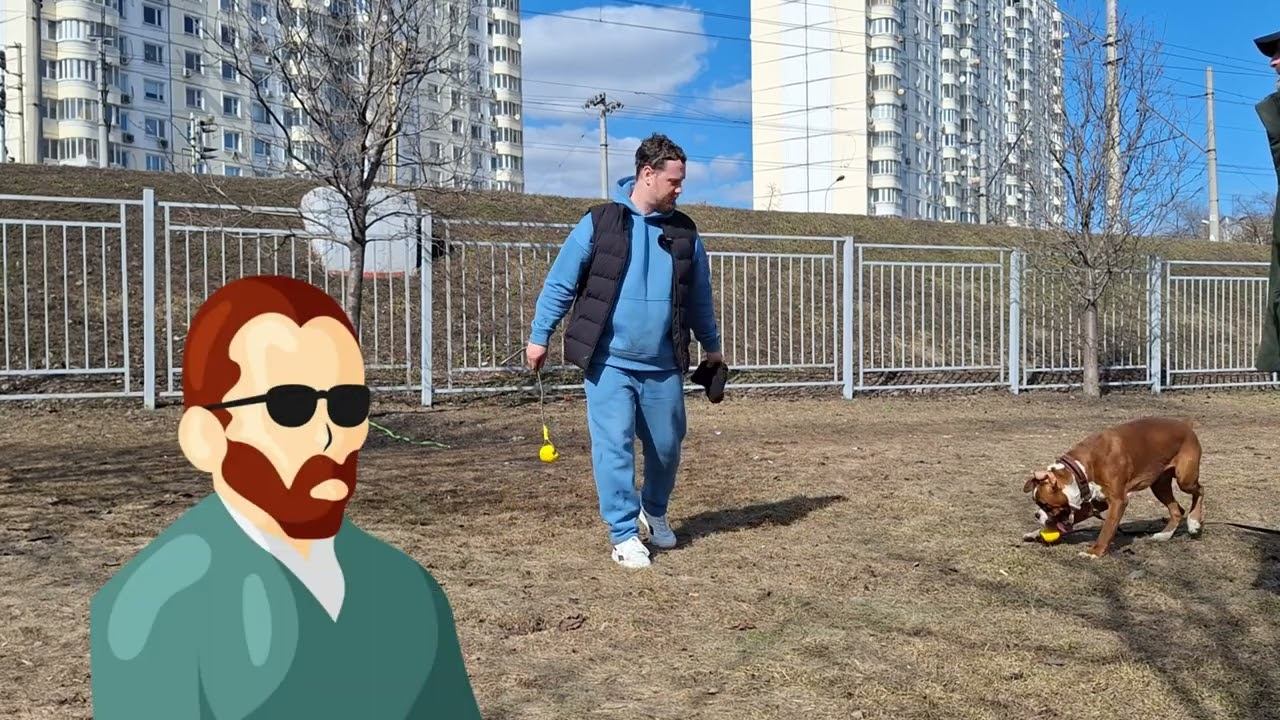 Положительное подкрепление не помогло! Собака КИНУЛАСЬ на кинолога смотреть онлайн