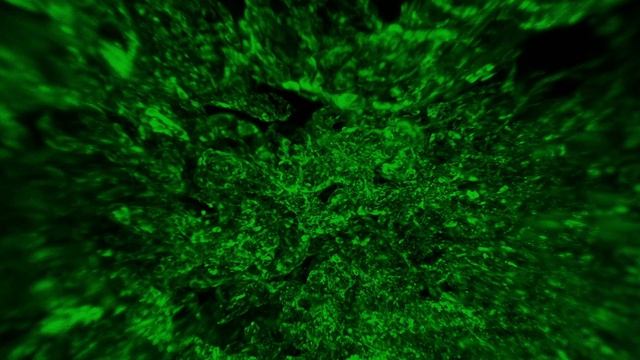 Part 15: The Placenta. Proteins - like you've never seen them before. смотреть онлайн