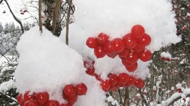 Горит калина...исп. Евгений Коновалов смотреть онлайн