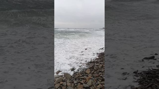 Штормовое Приморский край Владивосток #shorts смотреть онлайн