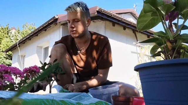 Цветы смотреть онлайн
